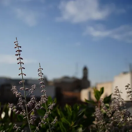 Lanime - Bed In Vakantiehuis