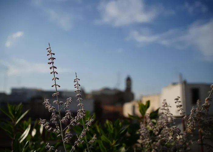 Lanime - Bed In Feriehus